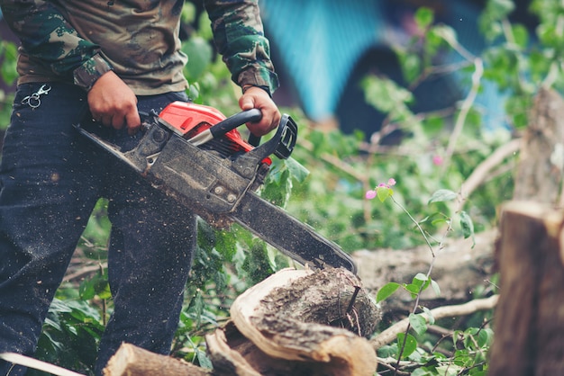 Asian man cutting trees using an electrical chainsaw