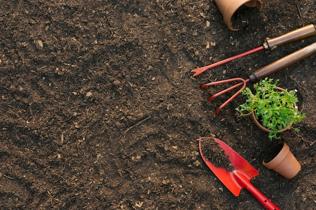 Composition of tools for gardening on ground Free Photo