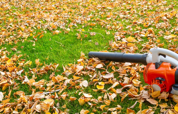Garden vacuum cleaner on a lawn with yellow leaves on a sunny day. Premium Photo