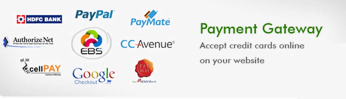 Helps you secure your website’s payment gateway