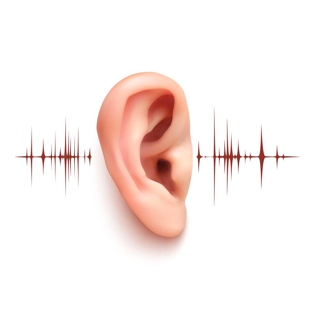 What Causes The Age Related Hearing Loss